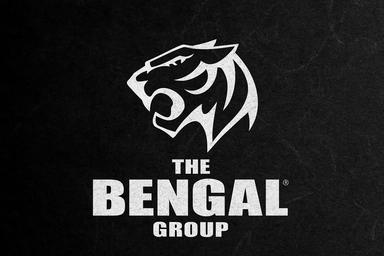 Bengal Group identity graphic