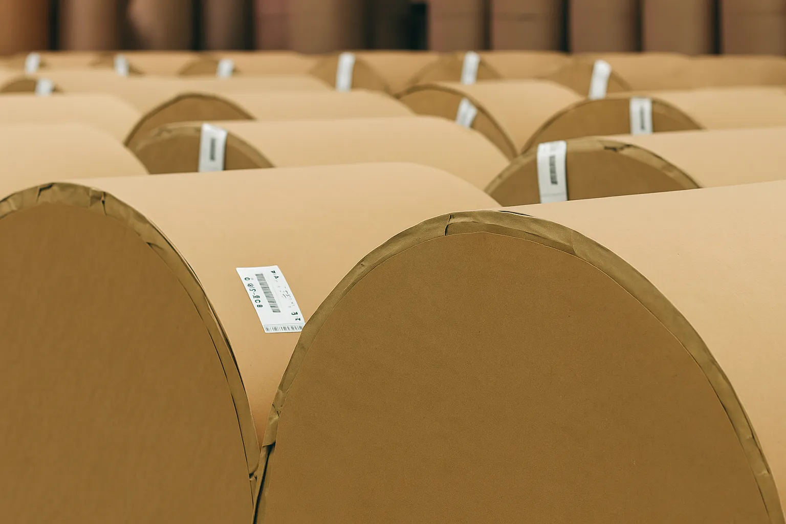 Supply Chain Risk Mitigation for Paper and Packaging Manufacturers